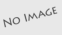 अंतरराष्ट्रीय मानव बंधुता दिवस और हमारा पर्यावरण